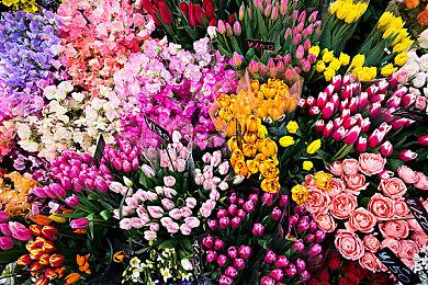 《光环：无限》跻身前四 PC Gamer《光环》系列战役排名