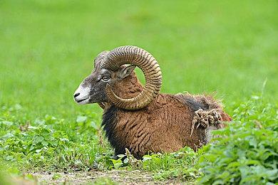 3D平台游戏《地狱派》将于7月21正式发售 登陆全平台